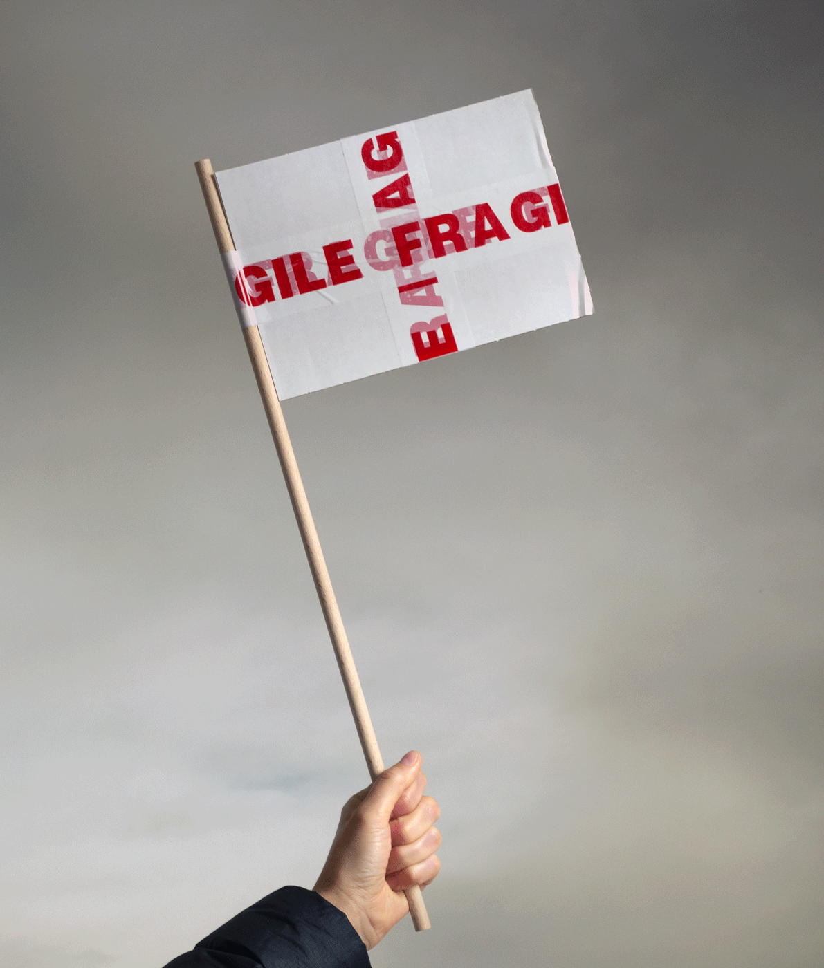 Flag, 2019