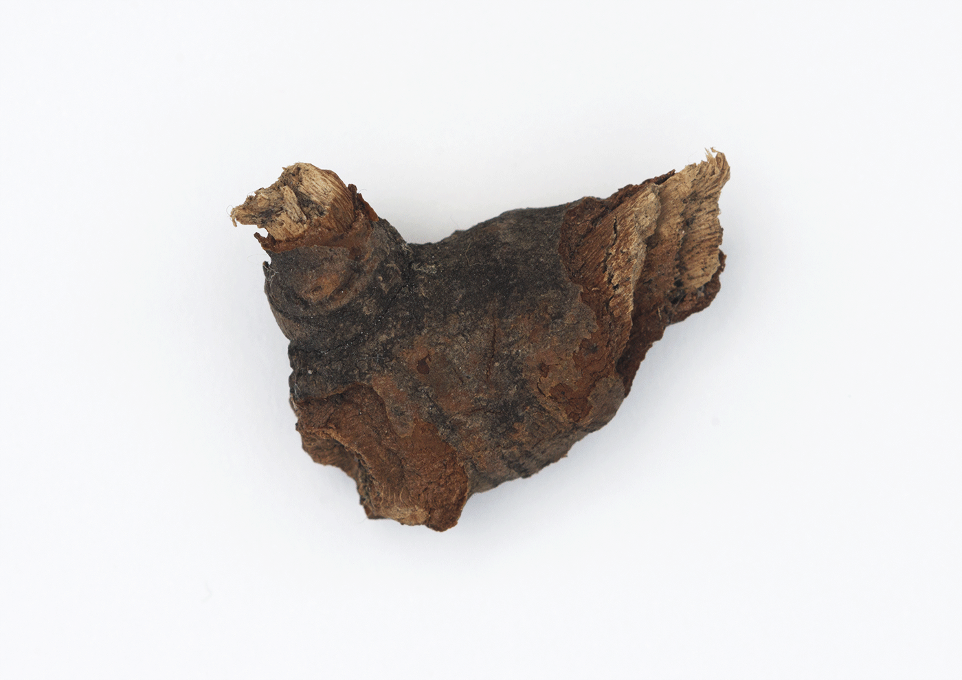 Hen